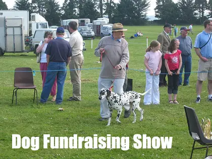 A Dog Fundraising Show is a fun event that has great fundraising potential. (Photo by Conor O'Neill / Flickr.com)